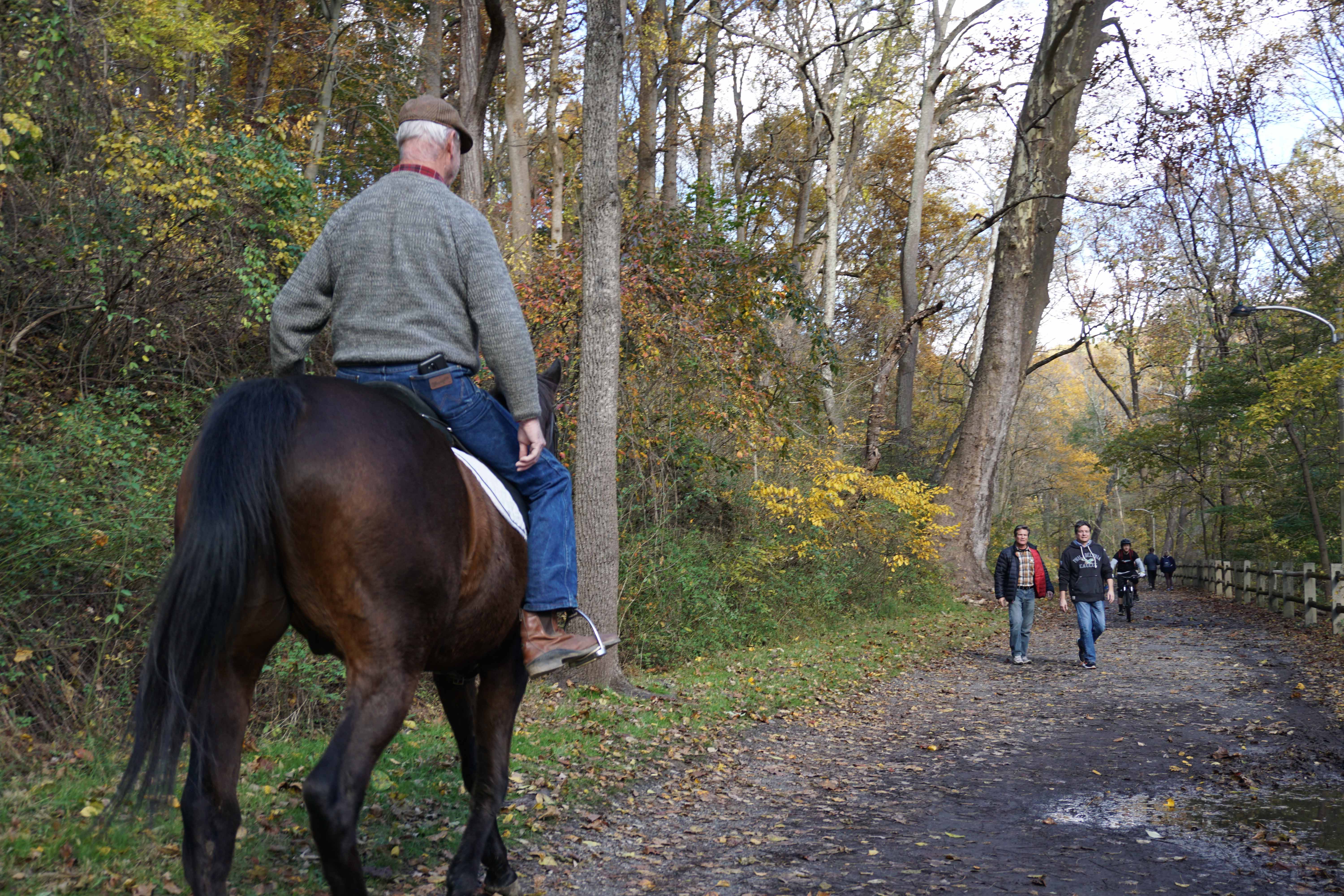 Used to be a busy bridle path